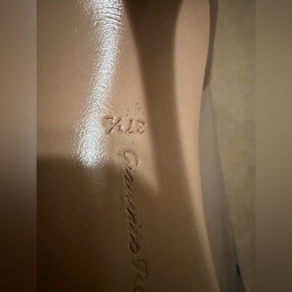 Gianvito Rossi Beige and Clear Heels - Picture 3 of 14